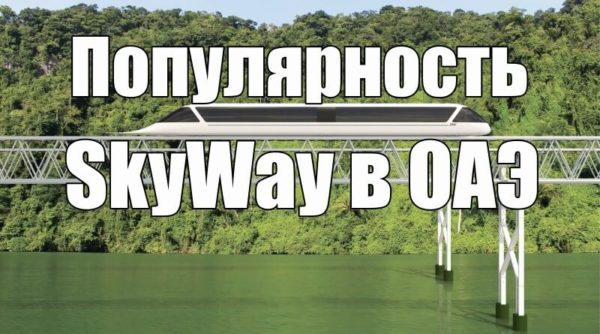 Что за роутер skyway global развод